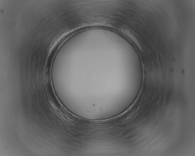 X0000067890676200605041553