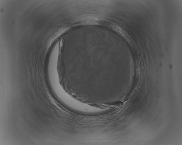 X0000067890677200605041553