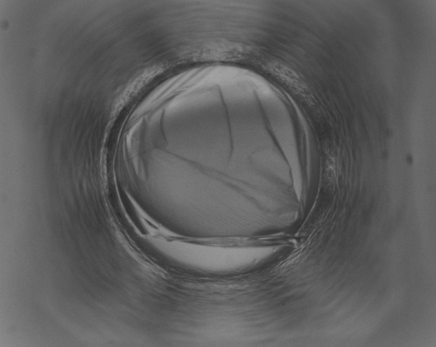 X0000067890678200605041553