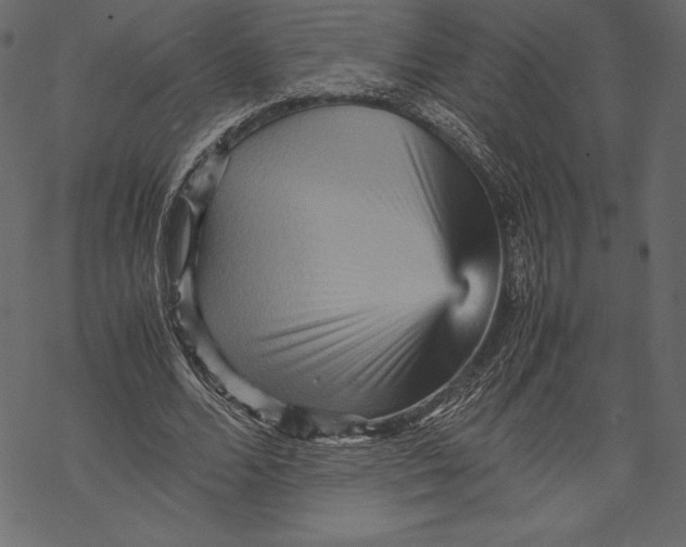 X0000067890680200605041553