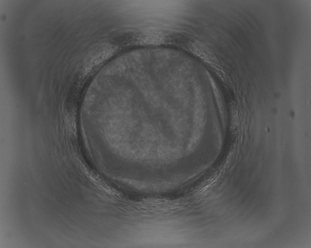 X0000067890681200605041553