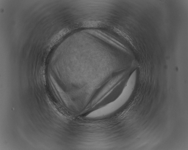 X0000067890682200605041553