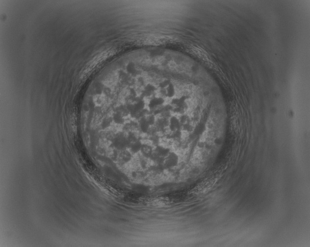 X0000067890683200605041553