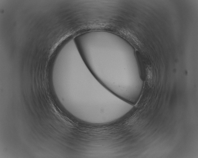 X0000067890684200605041553