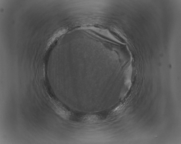 X0000067890685200605041553