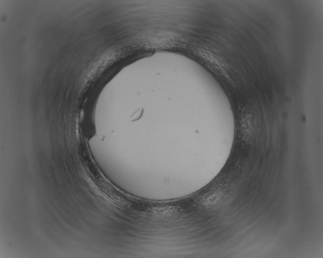 X0000067890686200605041553