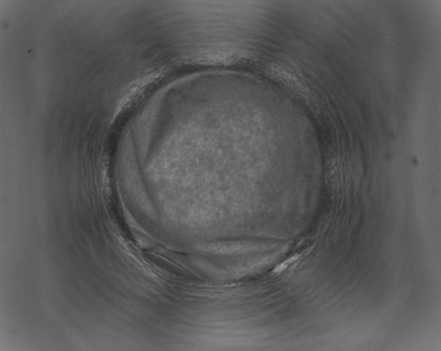 X0000067890688200605041553