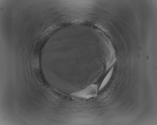 X0000067890689200605041553