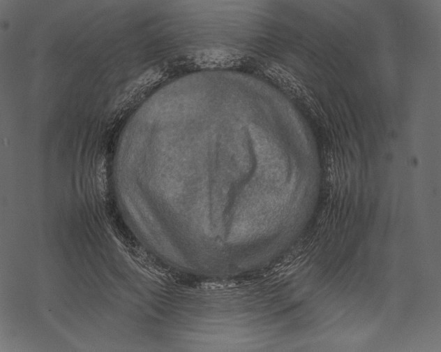 X0000067890690200605041553