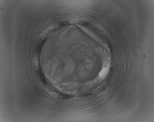 X0000067890691200605041553