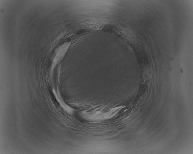 X0000067890693200605041553