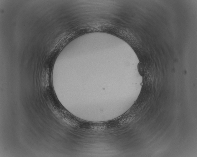 X0000067890694200605041553