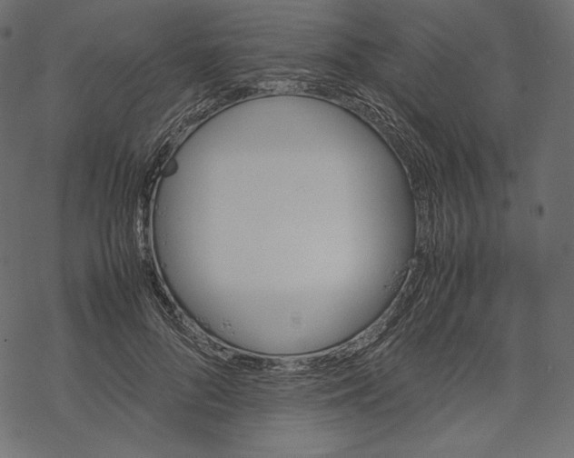 X0000067890696200605041553