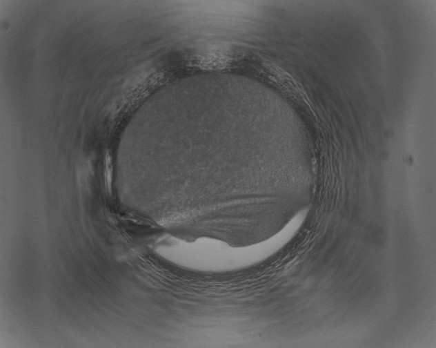 X0000067890697200605041553