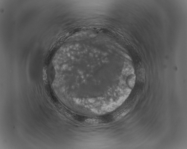 X0000067890699200605041553