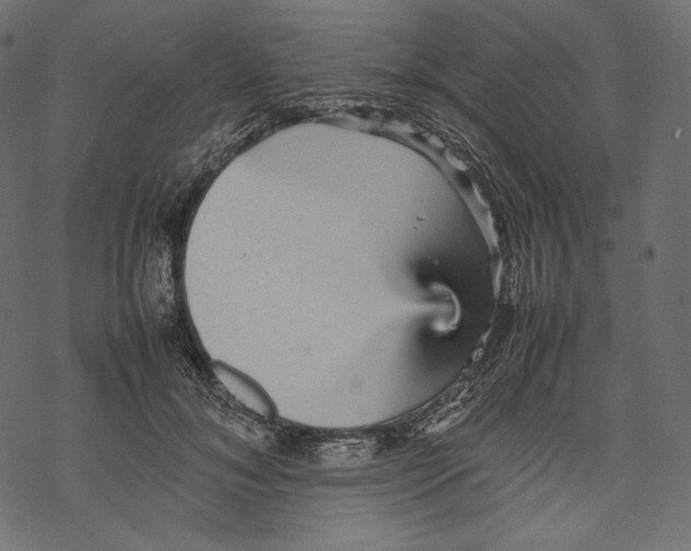 X0000067890700200605041553