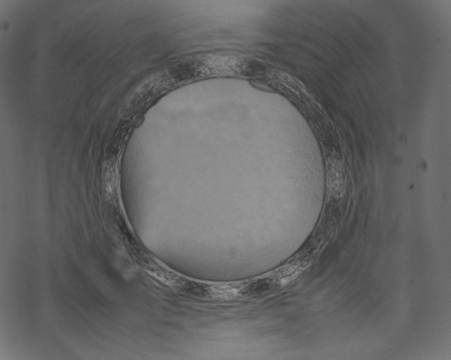 X0000067890701200605041553