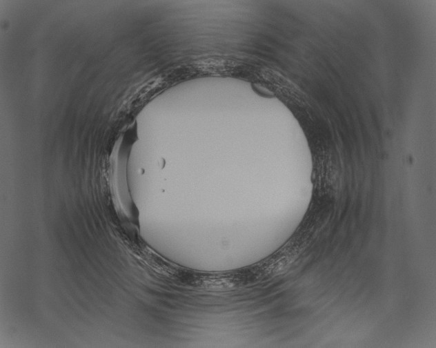 X0000067890702200605041553