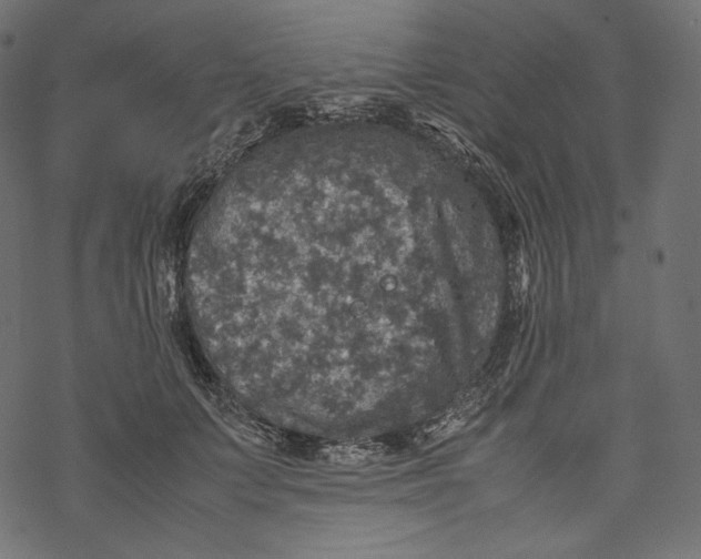 X0000067890703200605041553