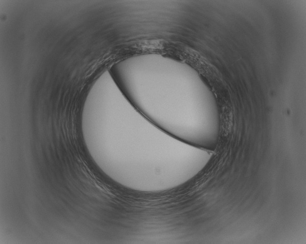 X0000067890704200605041552