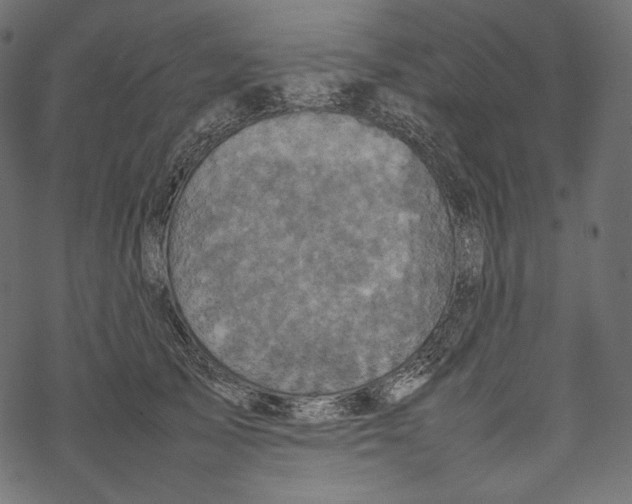 X0000067890705200605041552