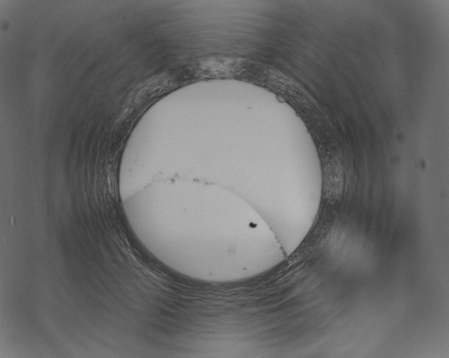 X0000067890706200605041552