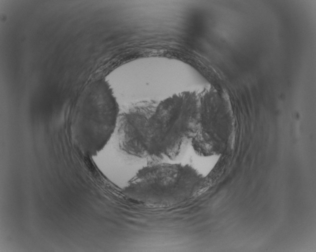 X0000067890707200605041552