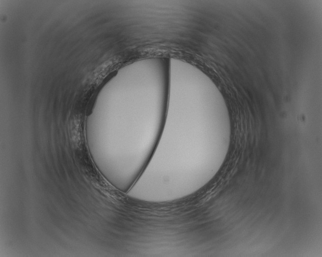 X0000067890708200605041552