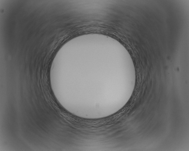 X0000067890709200605041552