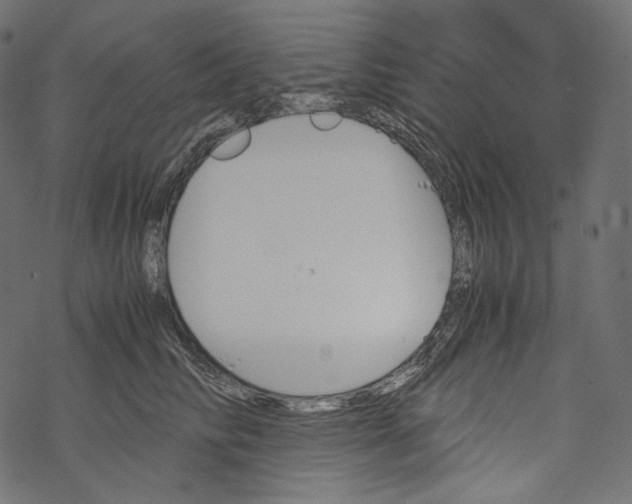 X0000067890710200605041552