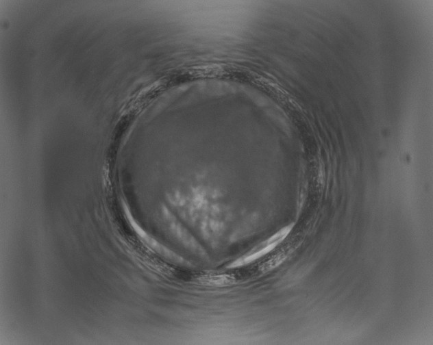 X0000067890711200605041552