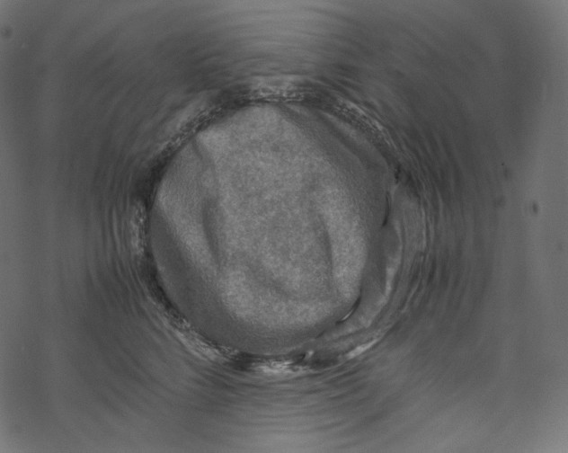 X0000067890712200605041552