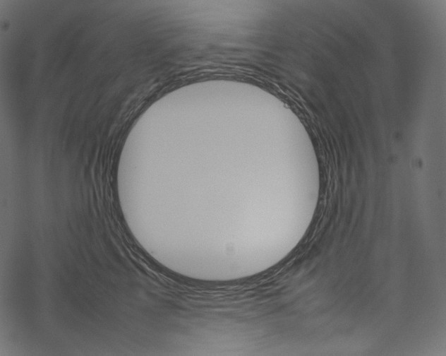 X0000067890713200605041552