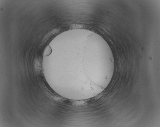 X0000067890714200605041552