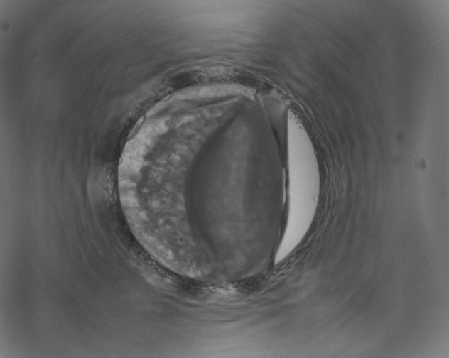 X0000067890715200605041552