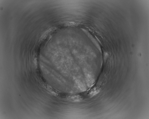 X0000067890716200605041552