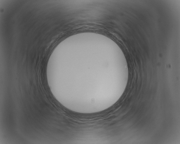 X0000067890717200605041552