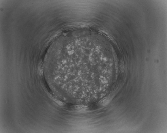 X0000067890719200605041552