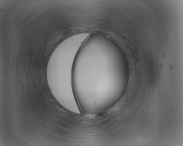 X0000067890720200605041552