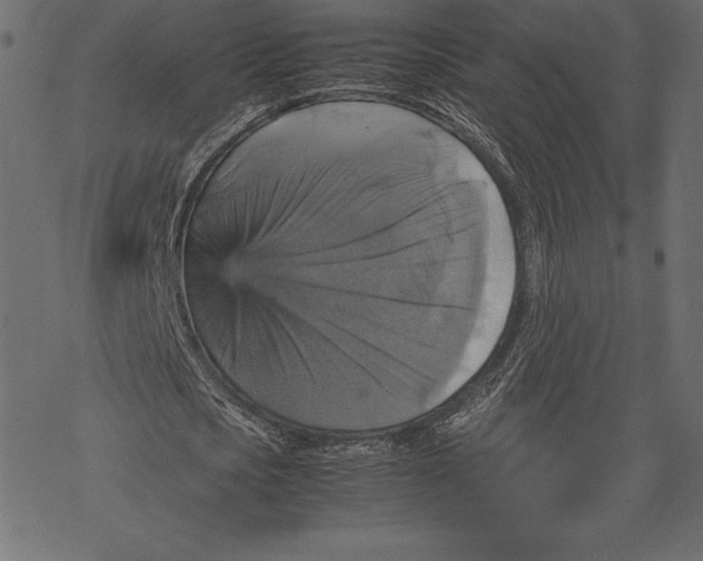 X0000067890721200605041551