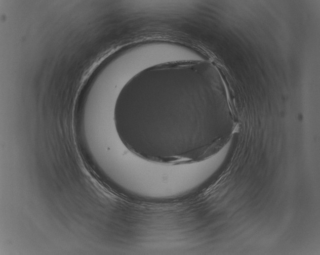 X0000067890722200605041551