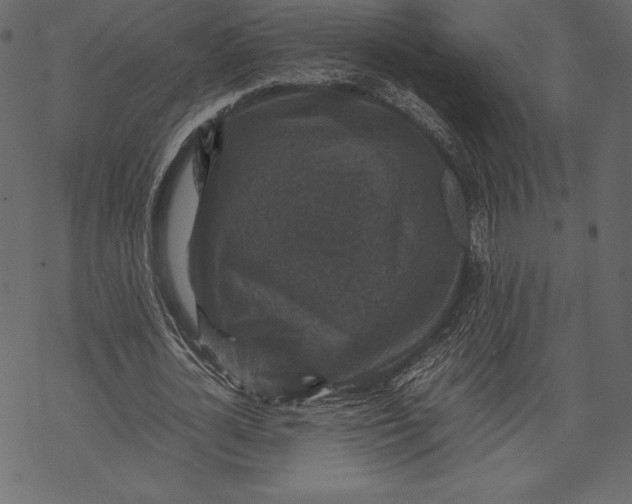 X0000067890724200605041552