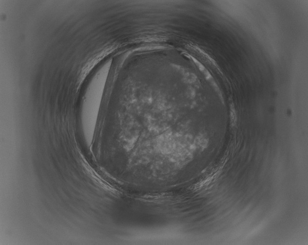 X0000067890725200605041552