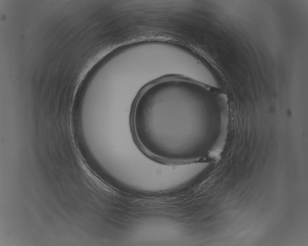 X0000067890726200605041552