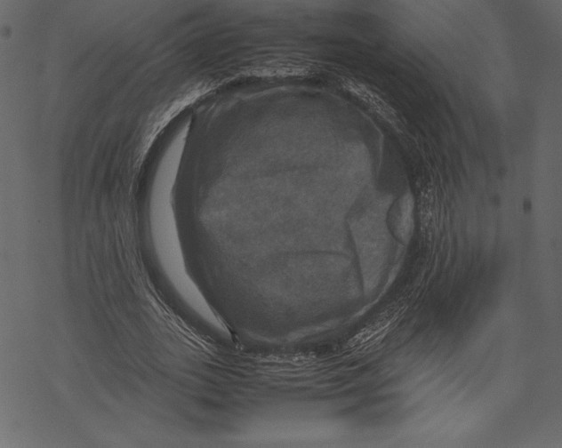 X0000067890727200605041552