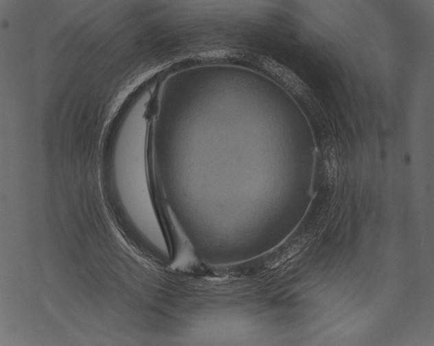 X0000067890728200605041552