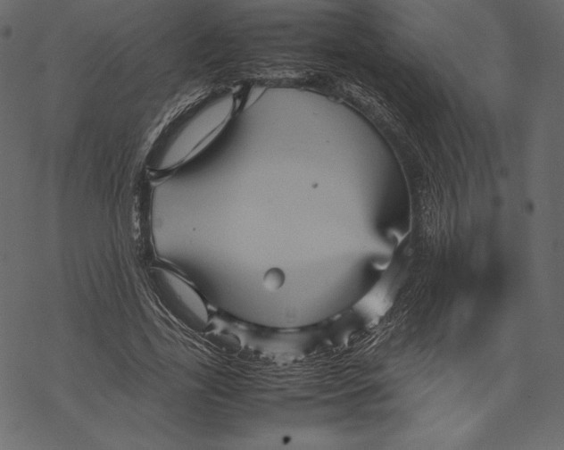 X0000067890731200605041552