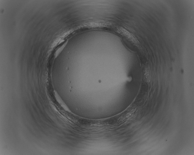 X0000067890732200605041552