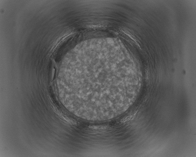 X0000067890733200605041552