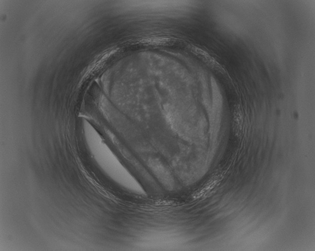 X0000067890734200605041552